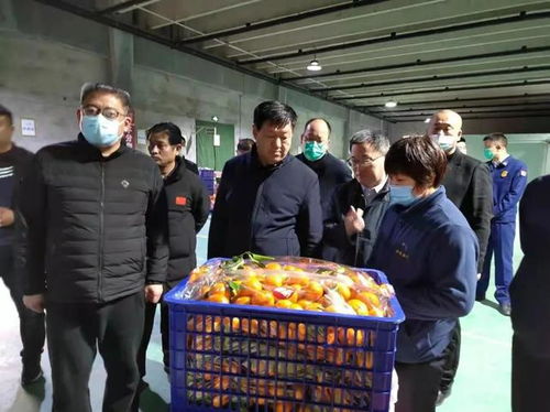 張勝明副市長赴濟寧蔬菜批發市場調研 筑牢食品安全防線，守護百姓“菜籃子”安全